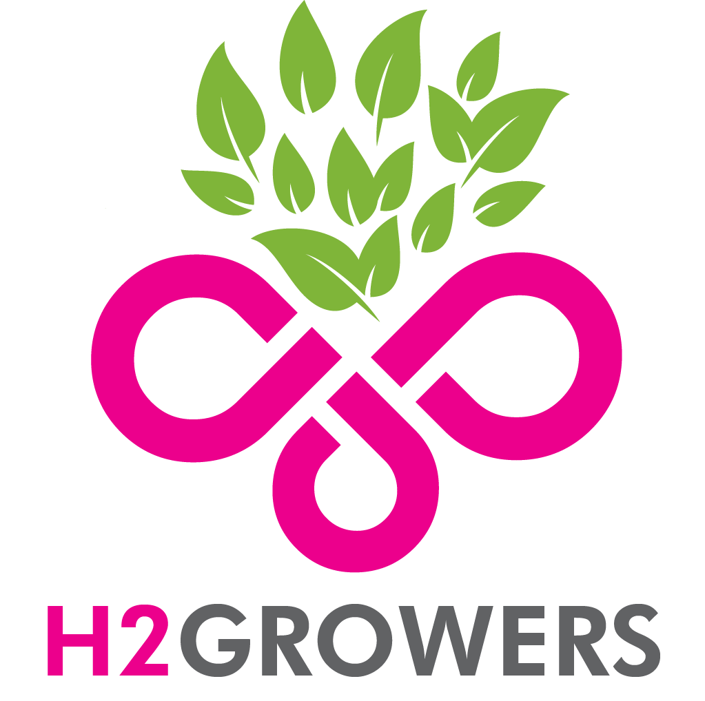 H2 logo Final